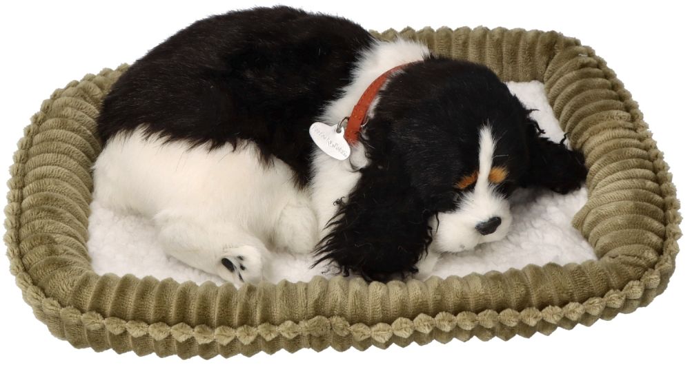 ca3070c1af8746aac64830b89b44c990 Terapinis kvėpuojantis šuniukas Spanielius XP91-32 - Image 1