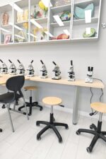 Laboratorinė kėdė 098355 - Image 2