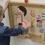 MASTERKIDZ Mokomoji lenta Virškinimo sistema ME14412 - Image 2