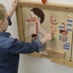 MASTERKIDZ Mokomoji lenta Virškinimo sistema ME14412 - Image 3