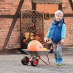 „Rolly Toys“ dviejų ratų metalinis sodo karutis 271849 - Image 2