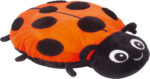 Sunkiasvorė Boružėlė 654216