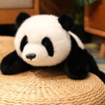Svorinis pliušinis žaislas Panda, 1 kg - Image 2