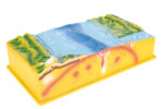 Tektoninių plokščių ir ugnikalnių modelis 571168 - Image 3